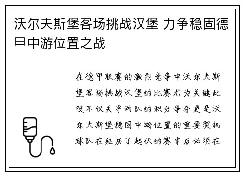 沃尔夫斯堡客场挑战汉堡 力争稳固德甲中游位置之战