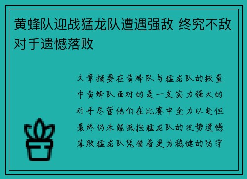 黄蜂队迎战猛龙队遭遇强敌 终究不敌对手遗憾落败