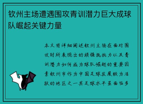 钦州主场遭遇围攻青训潜力巨大成球队崛起关键力量