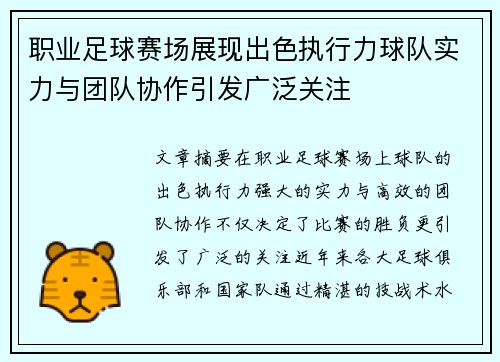 职业足球赛场展现出色执行力球队实力与团队协作引发广泛关注